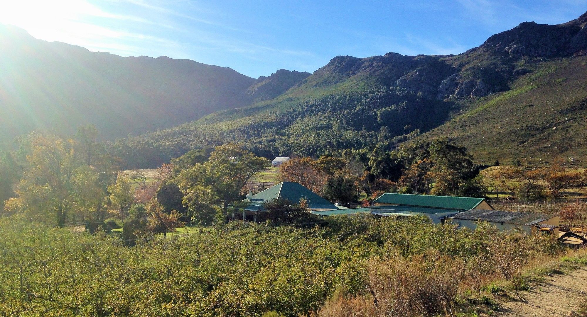 Royal Gala Cottage Franschhoek Eksteriør billede
